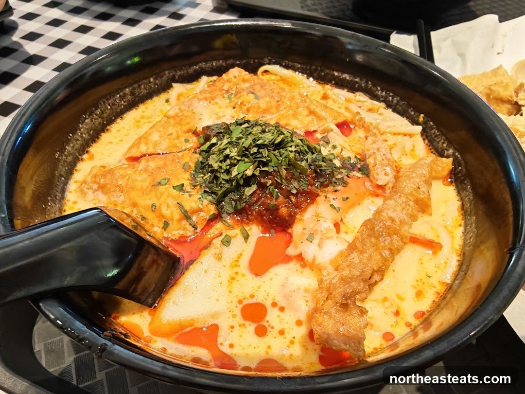 Laksa Noodle Soup