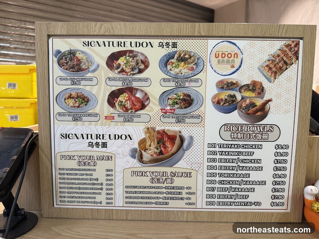 SIGNATURE UDON