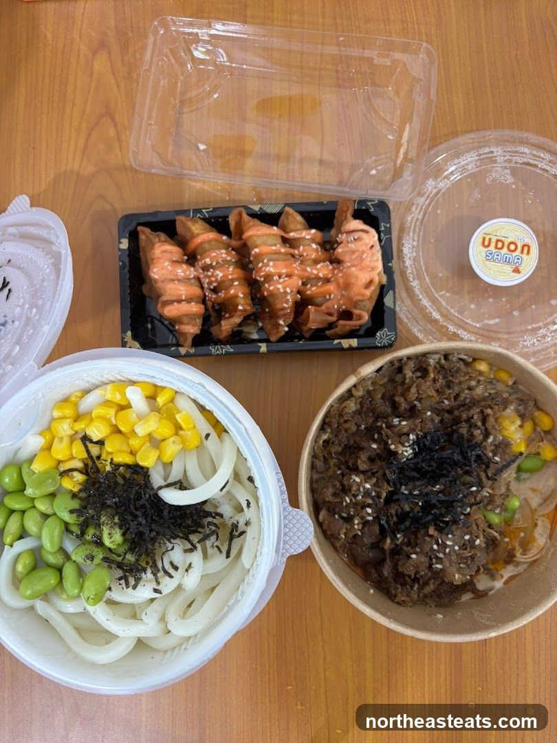 Udon and Beef Bowl