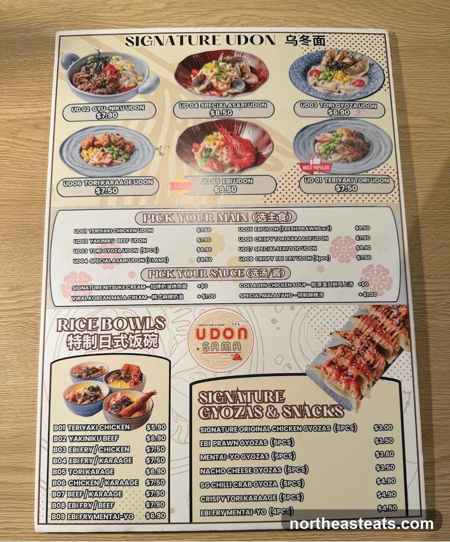 SIGNATURE UDON