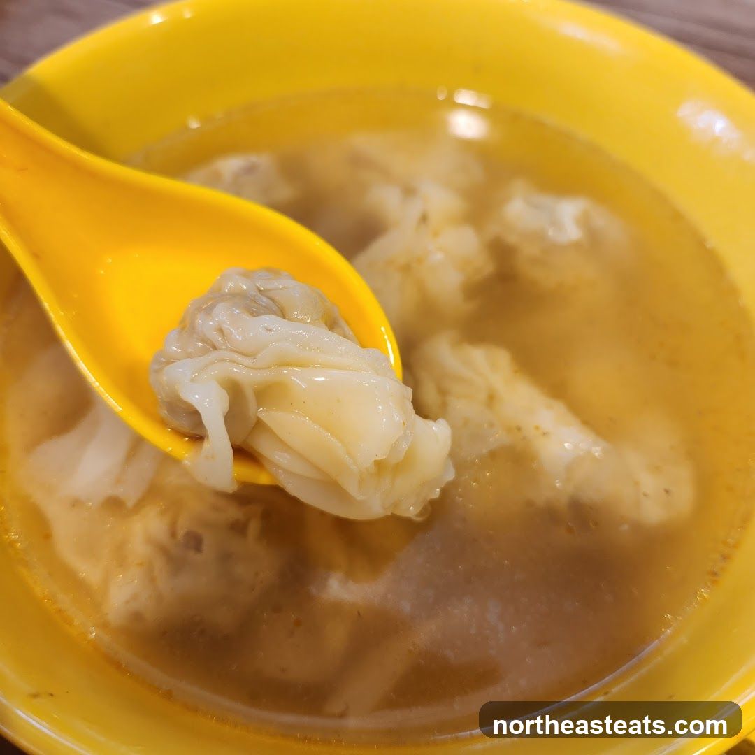 Wonton Soup