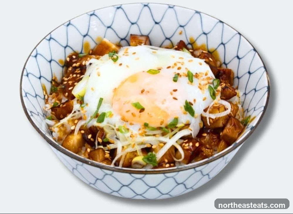 Rice bowl with egg and meat