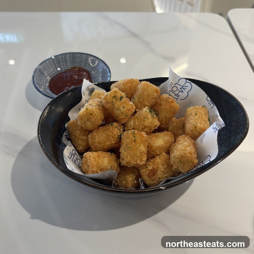 Tater Tots with Ketchup