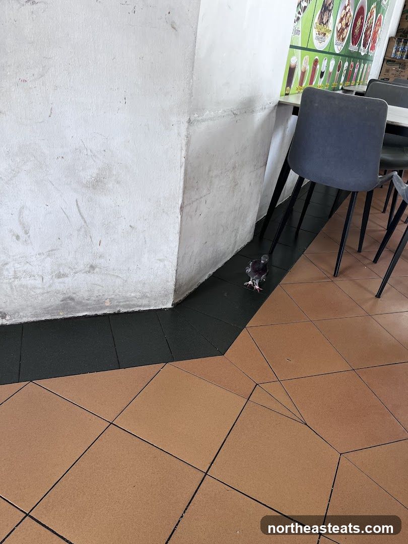 Pigeon in a Food Stall