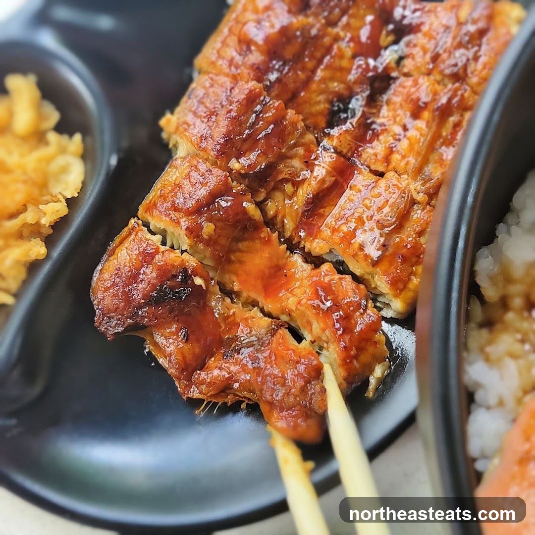 Unagi Donburi