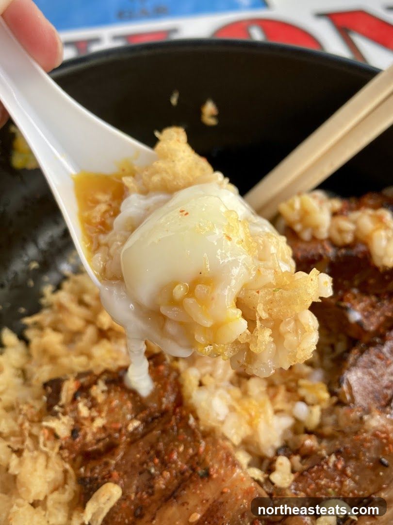 Close-up of a Spoonful of Rice Bowl Toppings