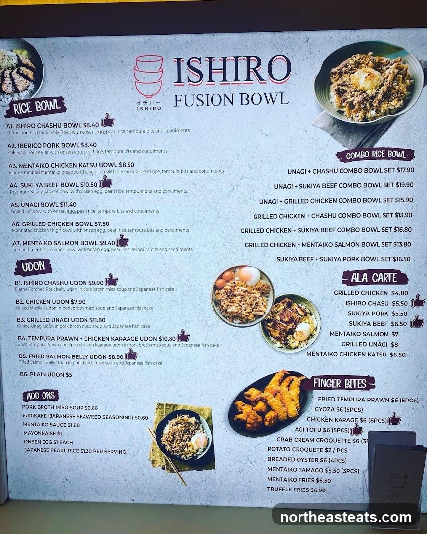 ISHIRO FUSION BOWL