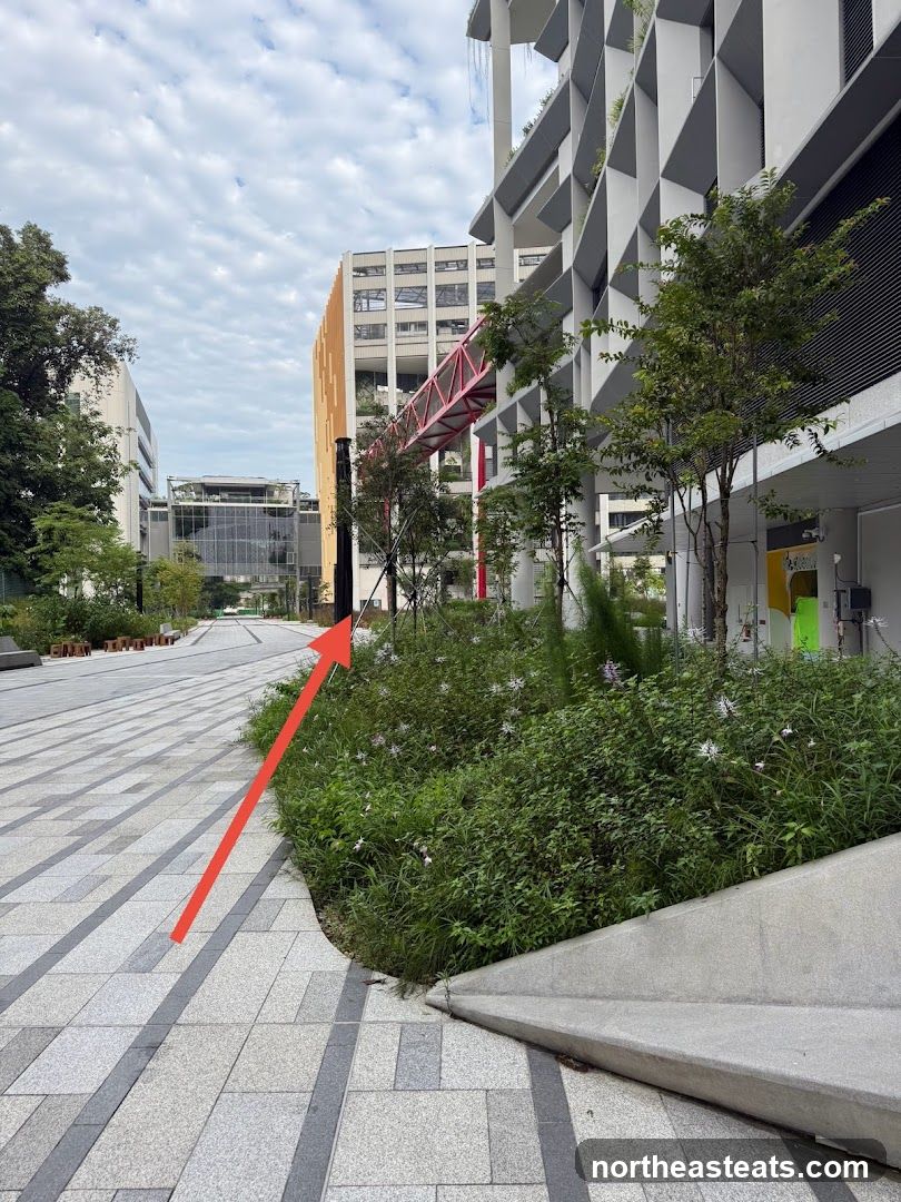 Modern Architecture and Landscaping
