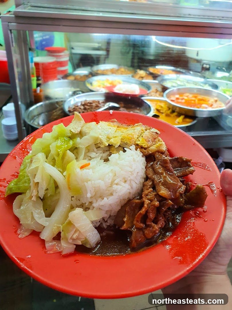 Plate of Rice with Braised Meat and Cabbage
