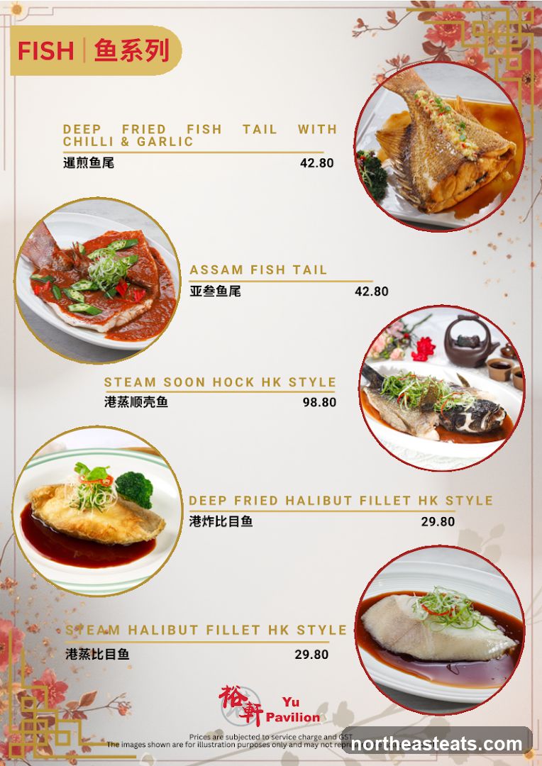 FISH | 鱼系列