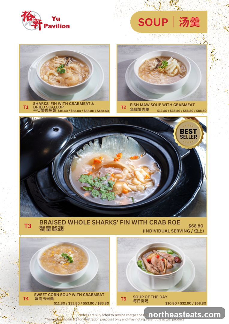 SOUP