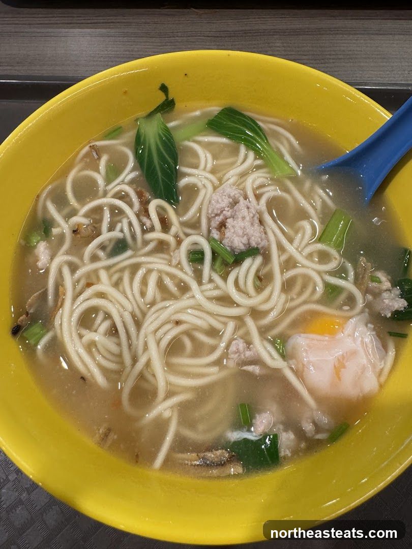 Noodle Soup