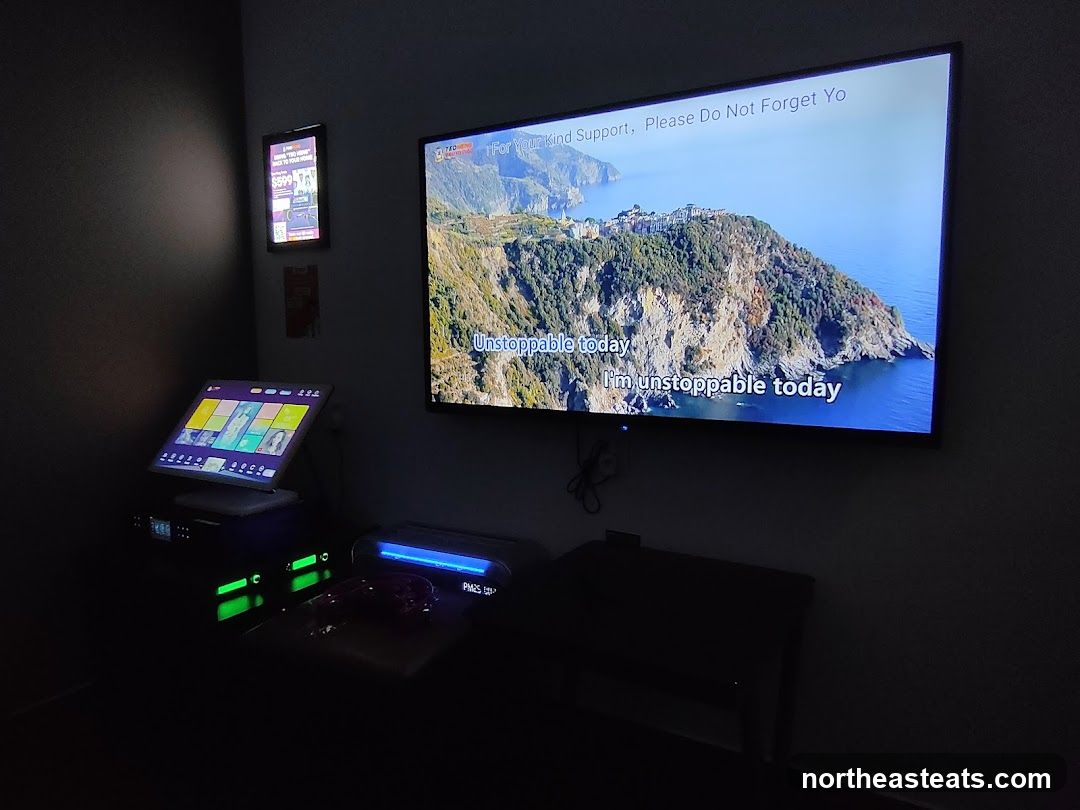 Karaoke Room Setup