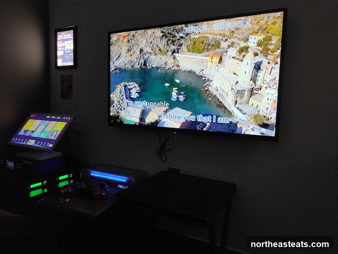 Karaoke Room Setup