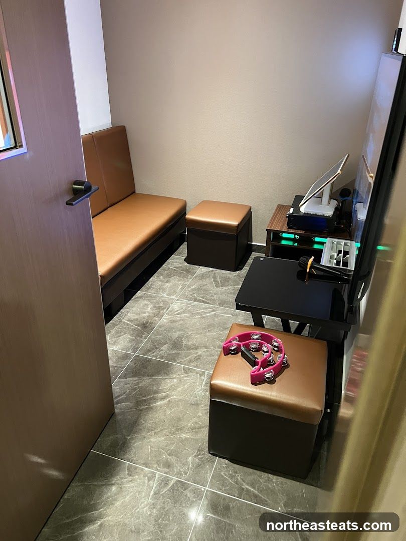 Karaoke Room Interior