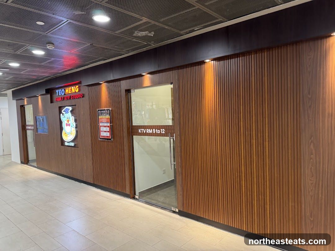 Teo Heng KTV Studio (Oasis Terraces)