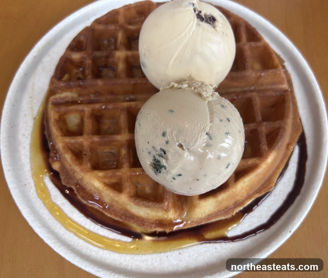 Waffle with Ice Cream