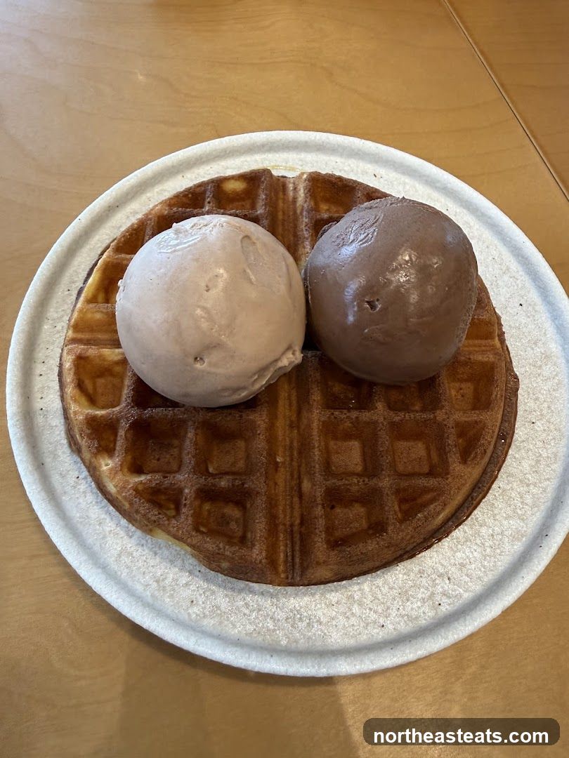 Waffle with Ice Cream