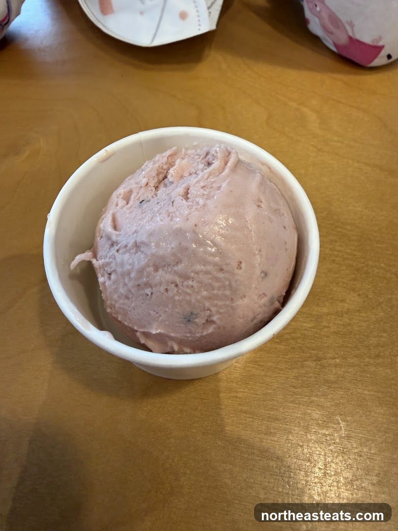 Ice Cream Cup