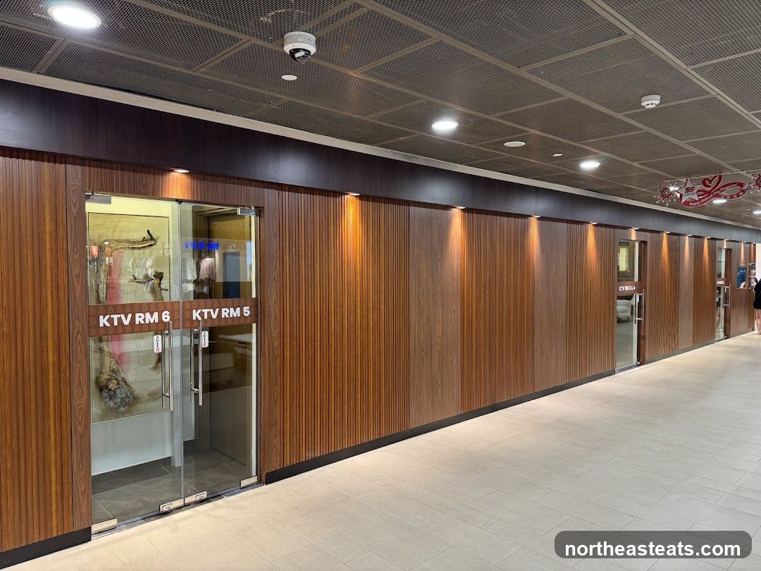 Teo Heng KTV Studio (Oasis Terraces)