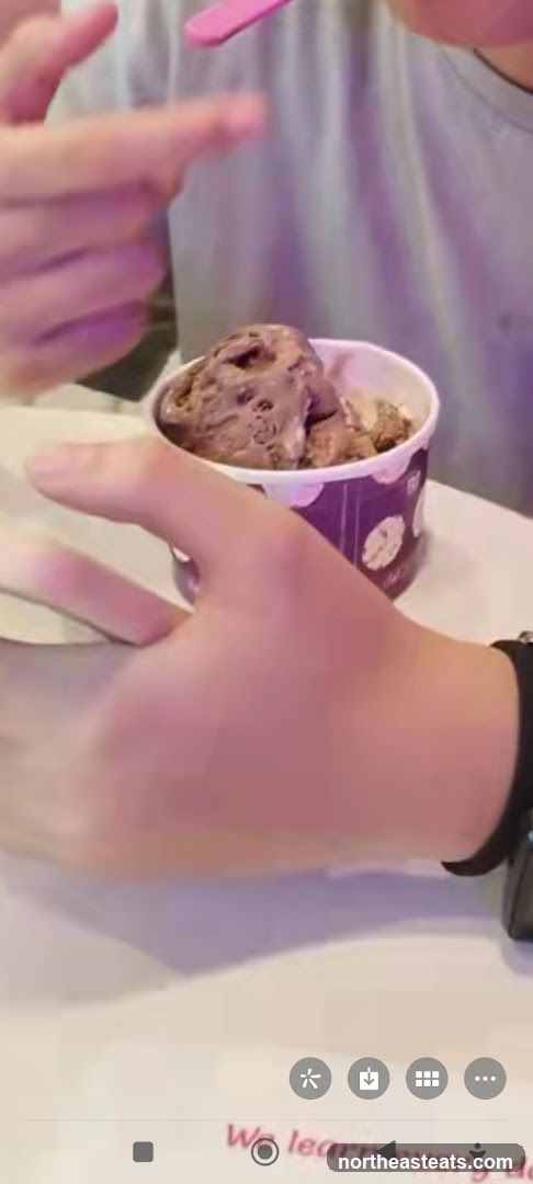 Ice Cream Cup