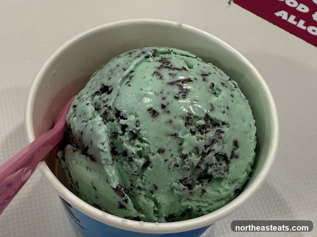 Mint Chocolate Chip Ice Cream