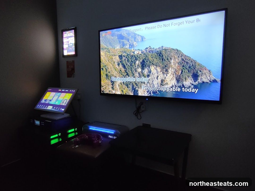 Karaoke Setup