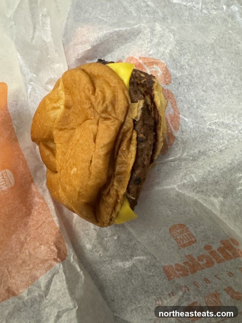 Burger with Cheese