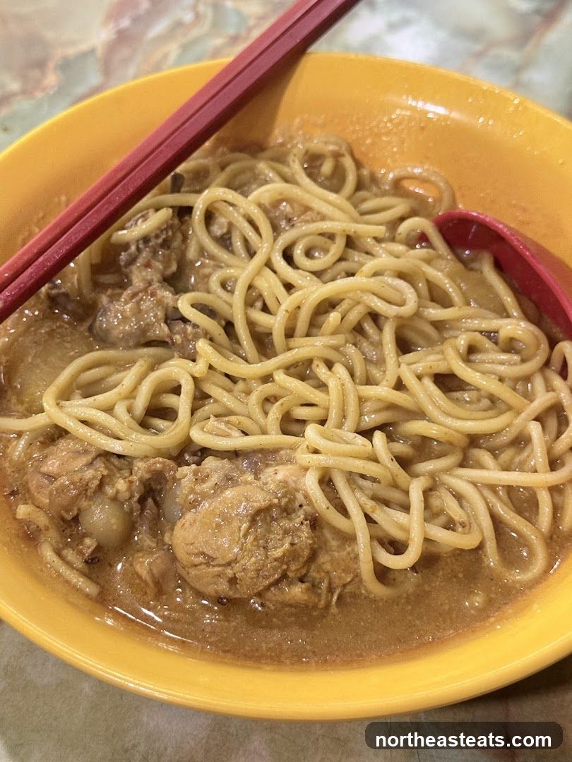 Noodle Soup with Chicken