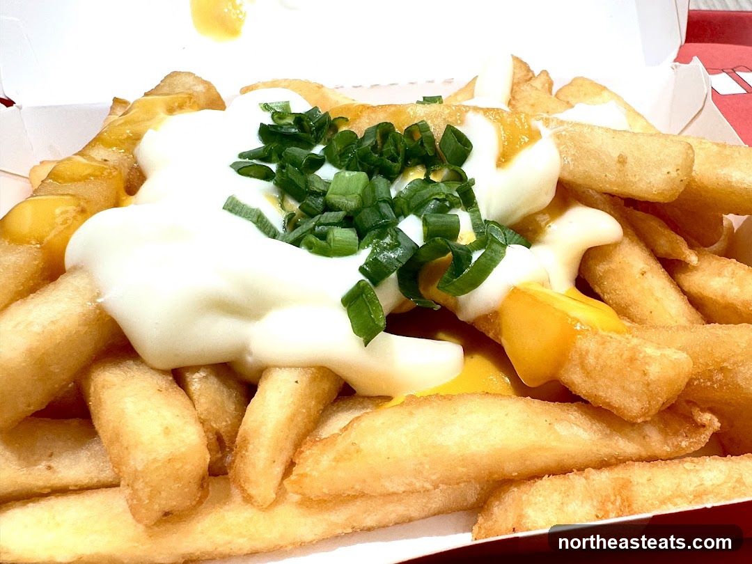 Cheese Fries