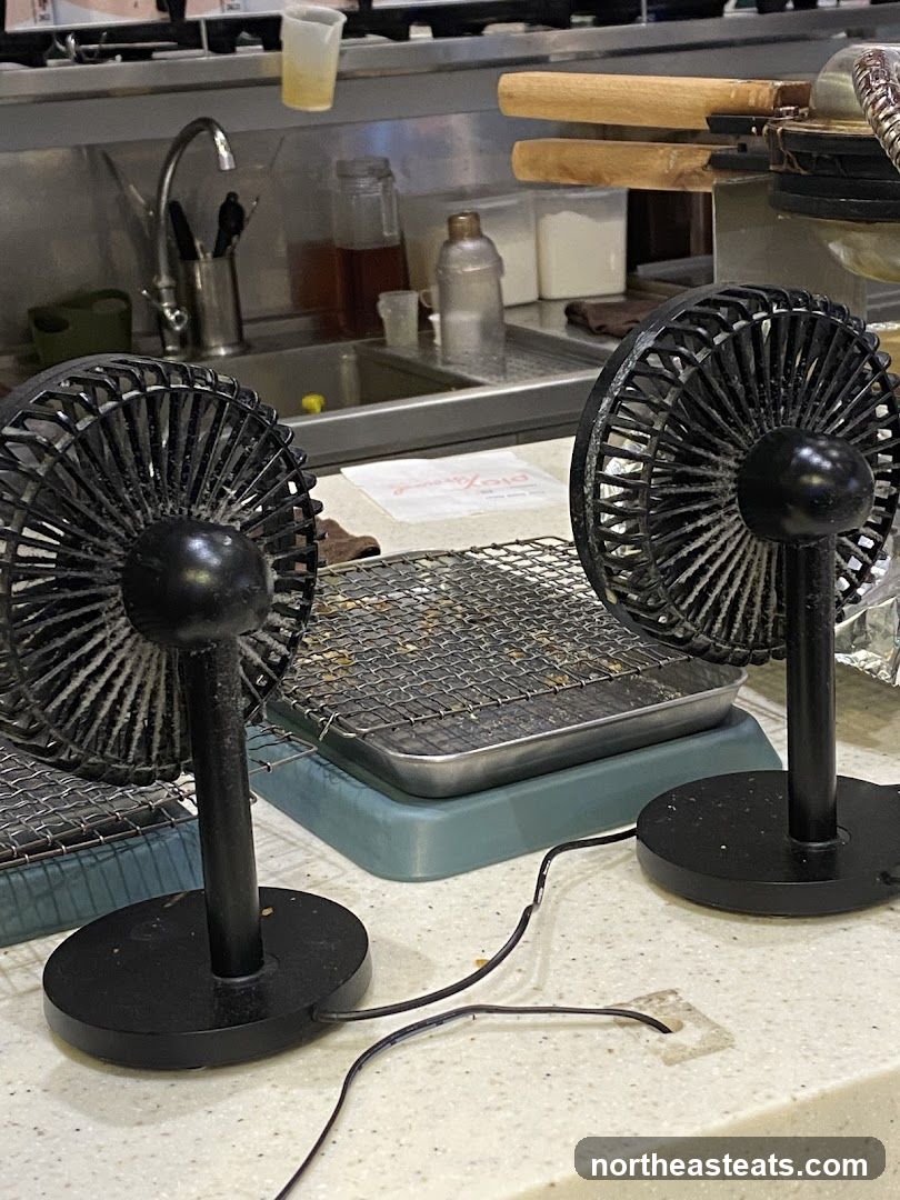 Kitchen Counter with Fans