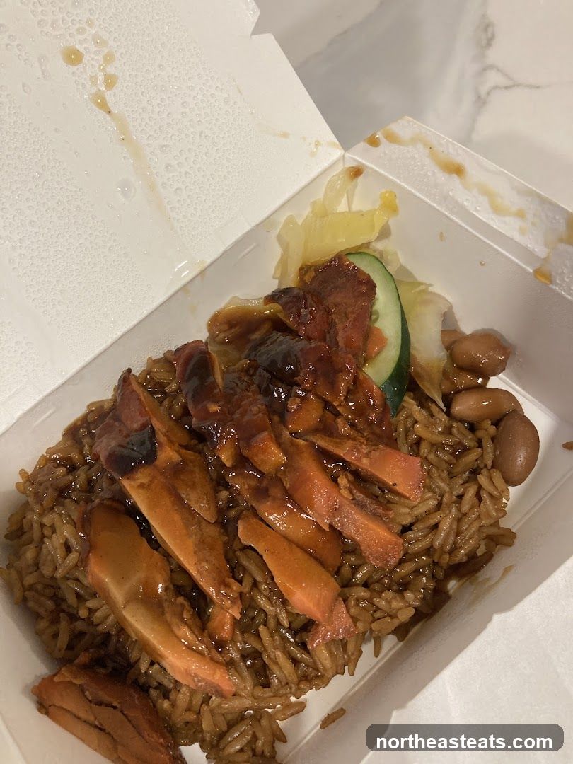 Takeout Box with Rice and Meat