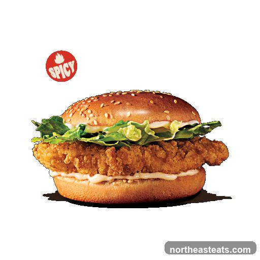 Spicy Chicken Burger