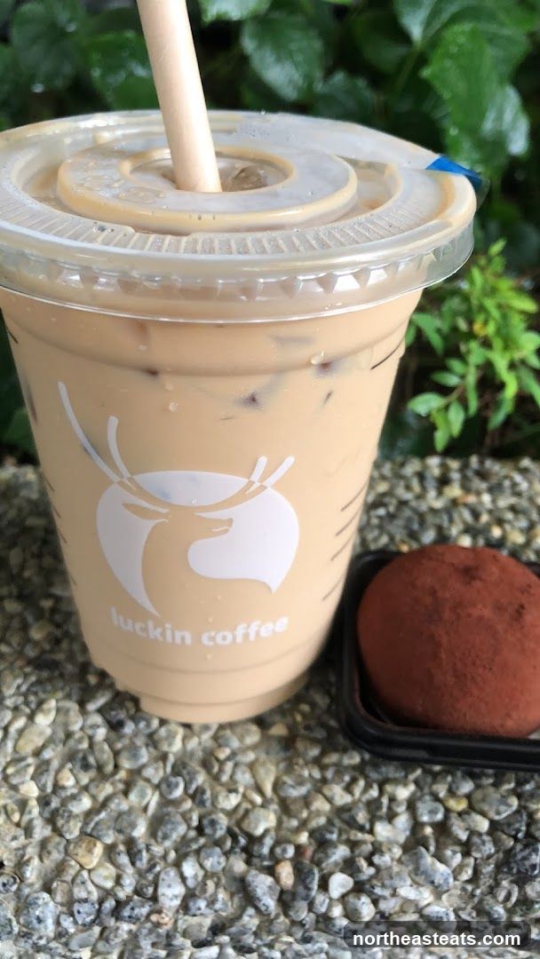 Iced Coffee and Chocolate Truffle