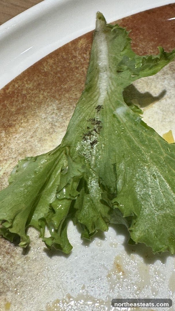 Lettuce Leaf on Plate