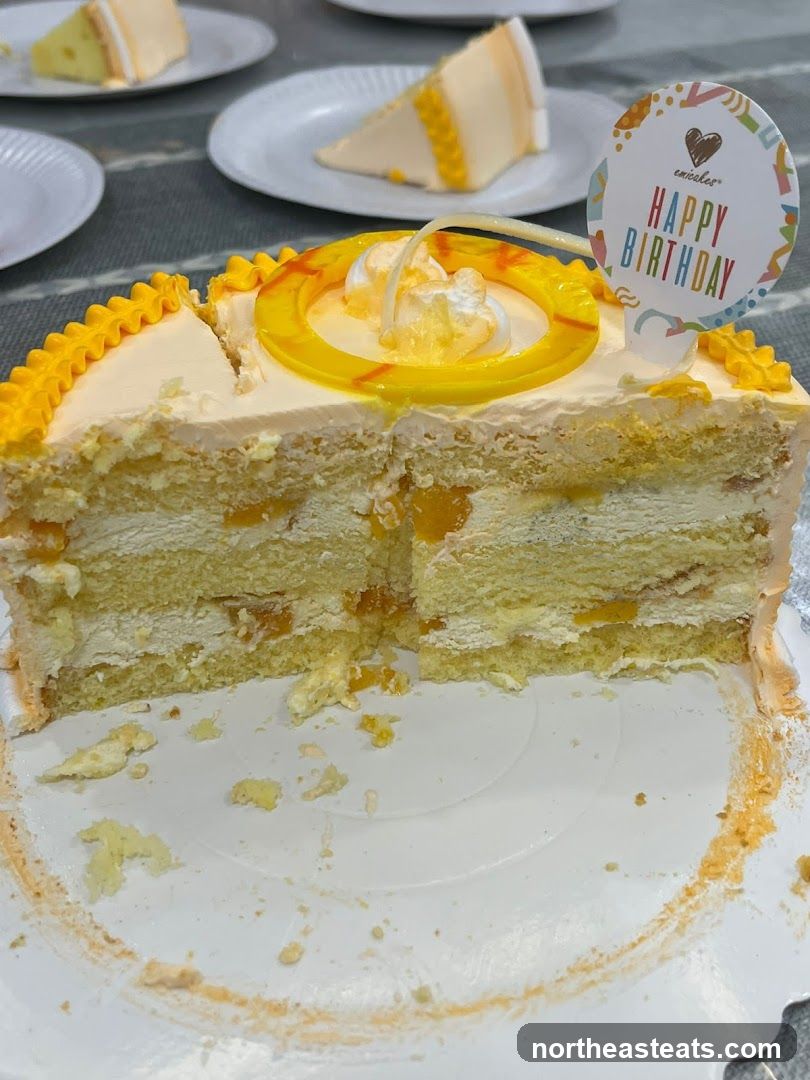 Birthday Cake Slice