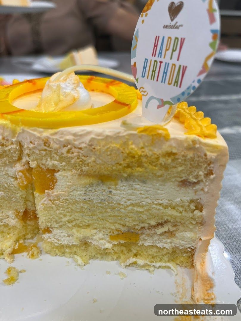 Birthday Cake Slice