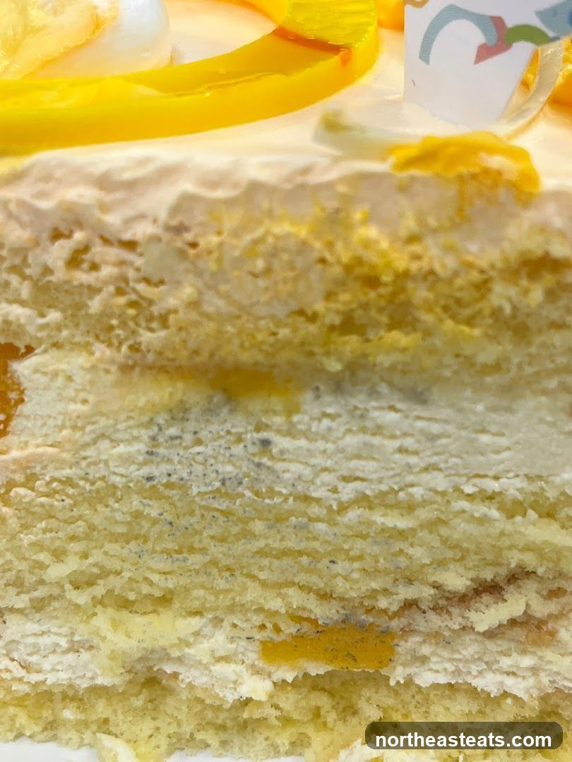 Close-up of a Moldy Cake