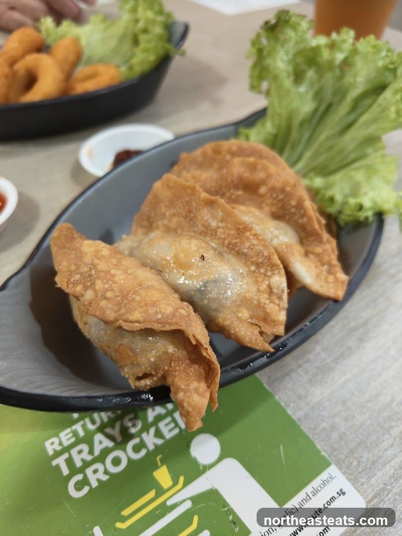 Fried Dumplings and Onion Rings