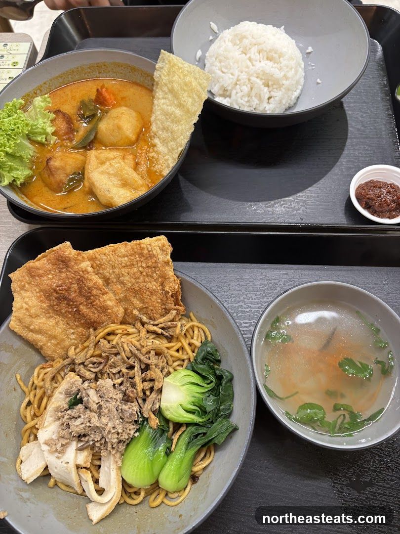 Two bowls of noodles and rice