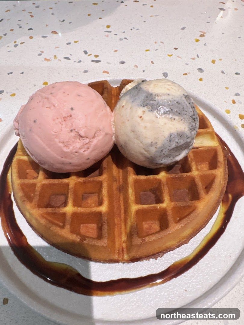Waffle with Ice Cream