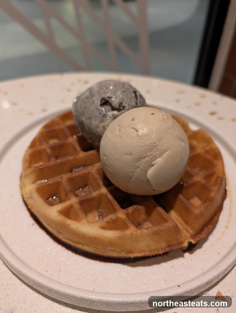 Waffle with Ice Cream