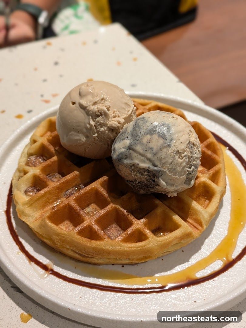 Waffle with Ice Cream