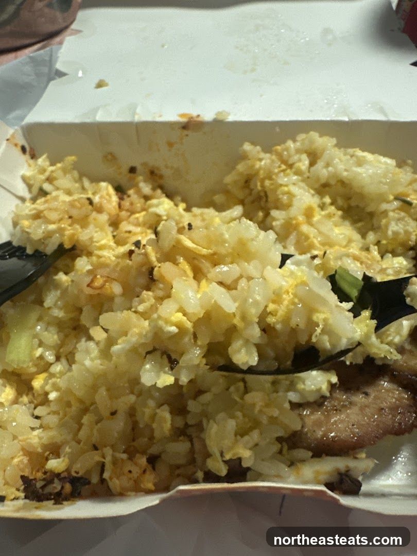 Fried Rice with Meat