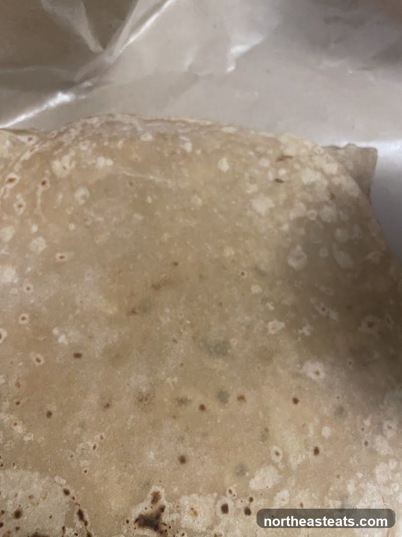 Burrito close-up