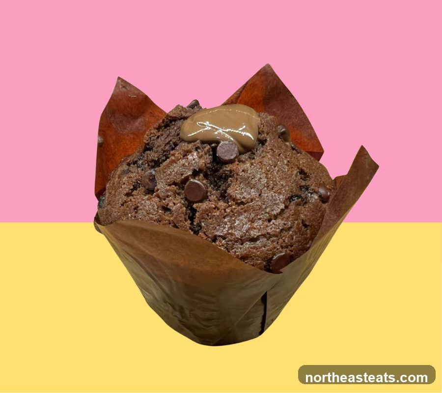 Chocolate Muffin