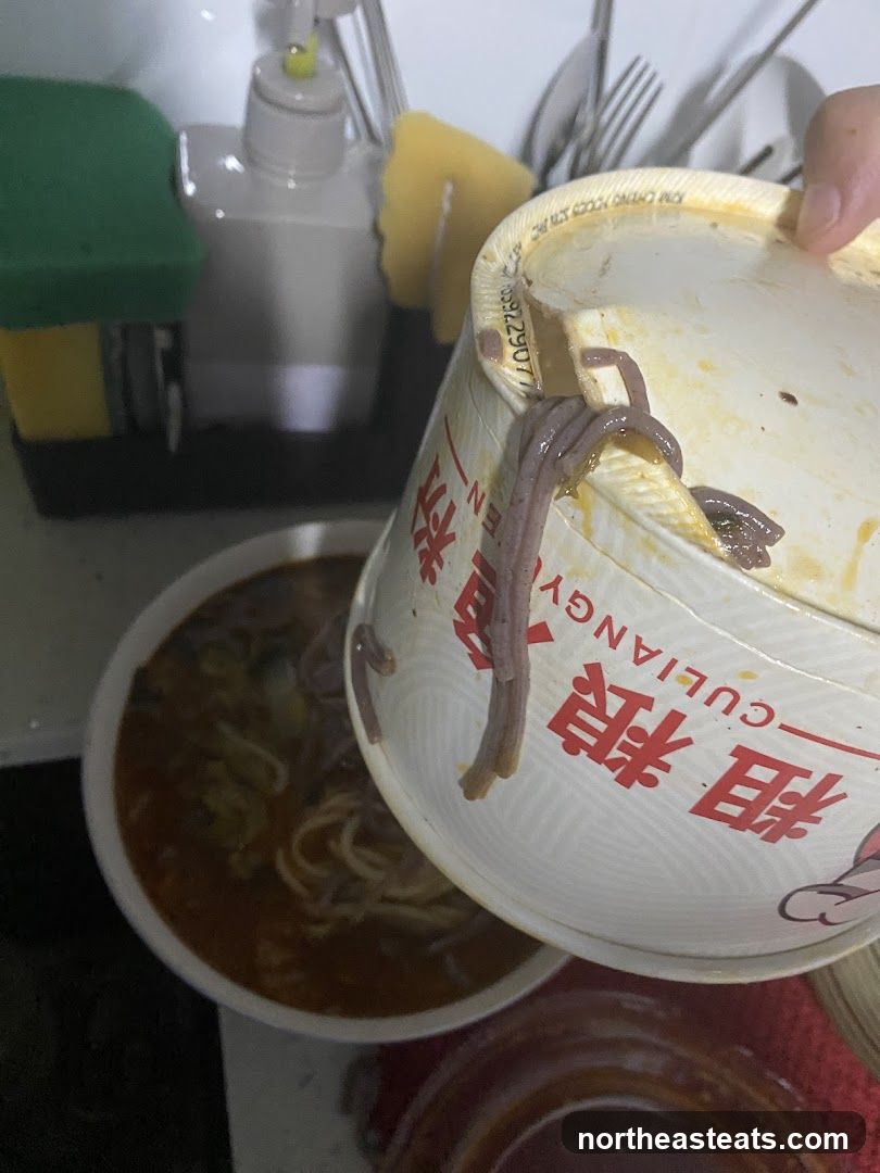 Noodles in broth with worms