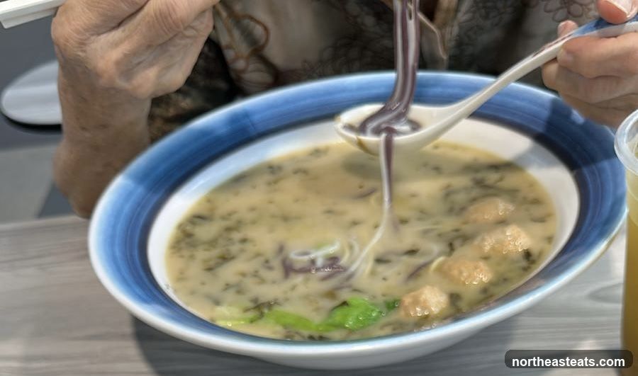 Noodle Soup