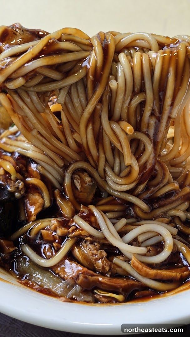Noodles with Dark Sauce