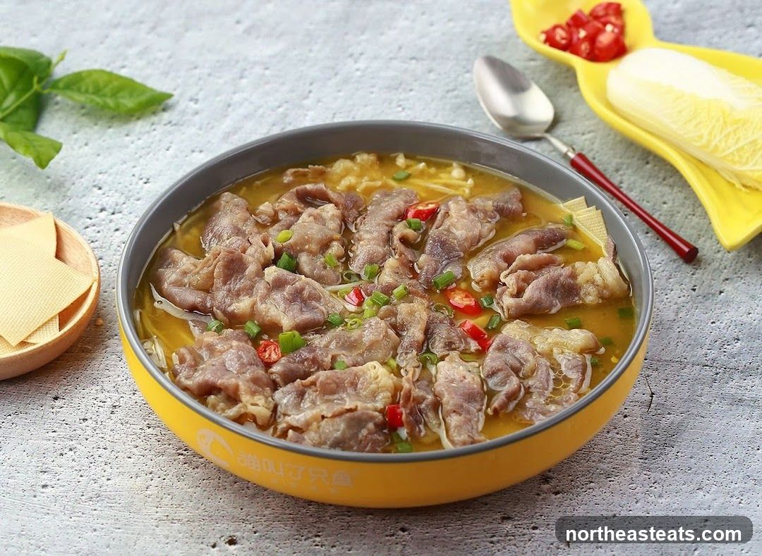 Beef and Noodle Soup